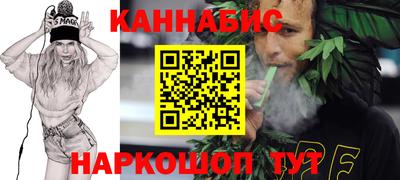 спиды Кингисепп