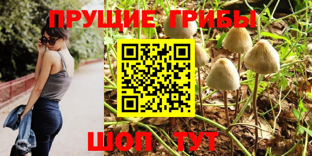 Псилоцибиновые грибы GOLDEN TEACHER  Галлюциногенные грибы мухоморы  Вход с VPN  Лесосибирск 